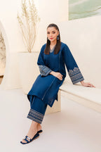 Zara Shahjahan Dhanak 2PC suit with embroidered sleeves, neck patch, plain back, and trouser with patches – Winter 2025.
