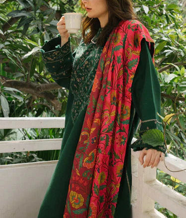 Zara Shahjahan Winter 2025 Dhanak embroidered 3pc suit with pashmina printed wool shawl, elegant front, sleeves & border embroidery